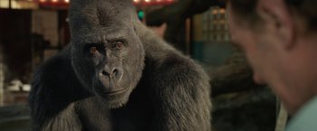 Movie still from “The One and Only Ivan” (2020), directed by Thea Sharrock – A gorilla's face in the dark; Close Up shot, Low angle