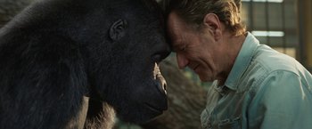 Movie still from “The One and Only Ivan” (2020), directed by Thea Sharrock – A man and a gorilla face to face in front of a tree; Close Up shot, Over the shoulder angle