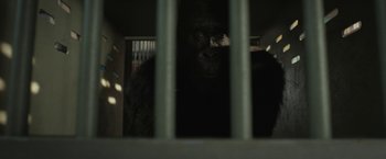 Movie still from “The One and Only Ivan” (2020), directed by Thea Sharrock – A gorilla looking through bars of a jail cell; Close Up shot, Low angle