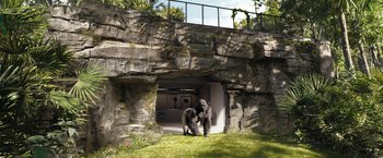 Movie still from “The One and Only Ivan” (2020), directed by Thea Sharrock – A gorilla standing inside of an enclosure at the zoo; Wide shot, Low angle
