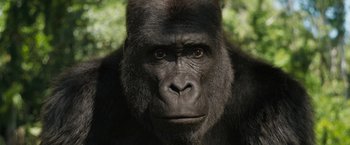 Movie still from “The One and Only Ivan” (2020), directed by Thea Sharrock – A gorilla's face with trees in the background; Extreme Close Up shot, High angle
