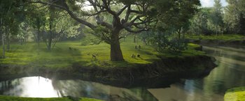 Movie still from “The One and Only Ivan” (2020), directed by Thea Sharrock – A group of people sitting under a tree in a field; Extreme Wide shot, High angle
