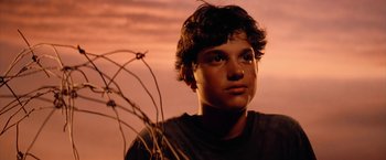 Movie still from “The Outsiders” (1983), directed by Francis Ford Coppola – A young man looking into the distance at sunset; Close Up shot, Low angle