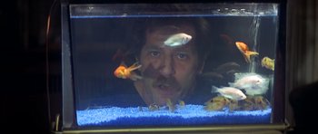 Movie still from “The Owl and the Pussycat” (1970), directed by Herbert Ross – A man with a beard looking into a fish tank; Close Up shot, High angle