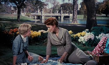 Movie still from “The Parent Trap” (1961), directed by David Swift – A woman sitting on a blanket next to a young boy; Wide shot, High angle