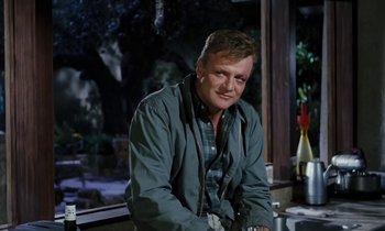 Movie still from “The Parent Trap” (1961), directed by David Swift – A man standing in front of a window; Medium shot, Over the shoulder angle