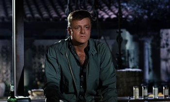 Movie still from “The Parent Trap” (1961), directed by David Swift – A man sitting on top of a wooden bench; Medium shot, Low angle