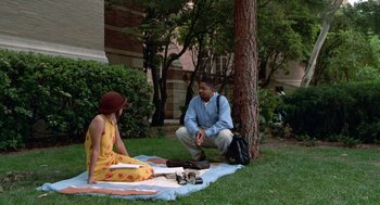 Movie still from “The Players Club” (1998), directed by Ice Cube – A man and a woman sitting on a blanket in the grass; Wide shot, High angle