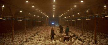Movie still from “The Pledge” (2001), directed by Sean Penn – A group of people standing in a barn filled with white chickens; Extreme Wide shot, High angle