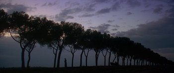 Movie still from “The Portrait of a Lady” (1996), directed by Jane Campion – A person standing in front of a row of trees; Extreme Wide shot, Low angle