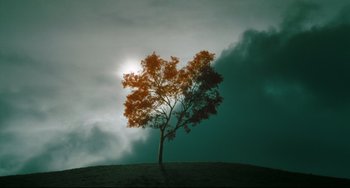 Movie still from “The Ring” (2002), directed by Gore Verbinski – A tree on top of a grassy hill under a cloudy sky; Extreme Wide shot, Low angle