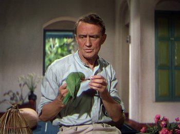 Movie still from “The River” (1951), directed by Jean Renoir – A man holding a green parrot in his hand; Close Up shot, Low angle