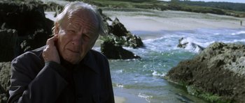 Movie still from “The Sea Inside” (2004), directed by Alejandro Amenábar – An older man standing on the beach near the water; Close Up shot, Low angle