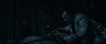 Movie still from “The Sea of Trees” (2015), directed by Gus Van Sant – A man looking down at a flower on a rock; Medium shot, Low angle