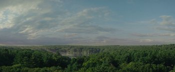 Movie still from “The Sea of Trees” (2015), directed by Gus Van Sant – A view of trees and a body of water from a bridge; Extreme Wide shot, High angle