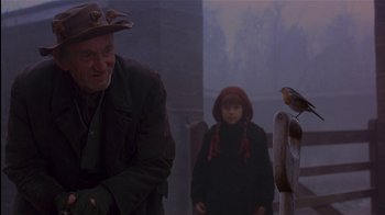 Movie still from “The Secret Garden” (1993), directed by Agnieszka Holland – A man standing next to a woman and a bird; Medium shot, Over the shoulder angle