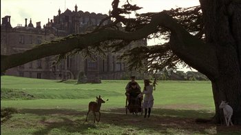Movie still from “The Secret Garden” (1993), directed by Agnieszka Holland – A man and a woman sitting in a carriage under a large tree; Wide shot, High angle