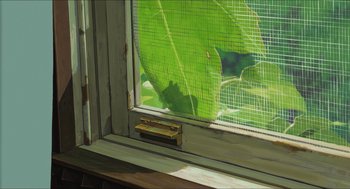 Movie still from “The Secret World of Arrietty” (2010), directed by Hiromasa Yonebayashi – A green leaf is seen through a window screen; Extreme Close Up shot, Low angle