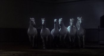 Movie still from “The Seven-Per-Cent Solution” (1976), directed by Herbert Ross – A group of white horses running in the dark; Wide shot, Low angle
