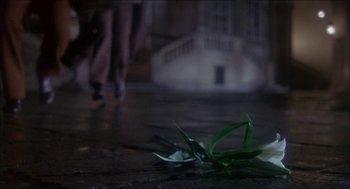 Movie still from “The Seven-Per-Cent Solution” (1976), directed by Herbert Ross – A plant that has fallen on the ground; Close Up shot, High angle