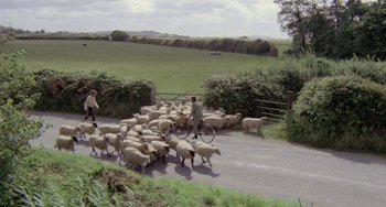 Movie still from “The Shout” (1978), directed by Jerzy Skolimowski – A herd of sheep being herded down a road by a man on a bicycle; Extreme Wide shot, High angle