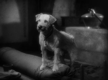 Movie still from “The Sign of the Cross” (1932), directed by Cecil B. DeMille – A dog standing on top of a ball on top of a couch; Close Up shot, High angle