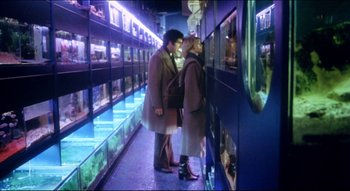 Movie still from “The Silent Partner” (1978), directed by Daryl Duke – A man and a woman standing in front of a fish tank; Wide shot, High angle