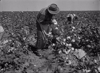 Movie still from “The Southerner” (1945), directed by Jean Renoir – A man in a hat is picking cotton in a field; Wide shot, High angle