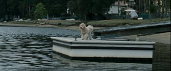 Movie still from “The Square” (2008), directed by Nash Edgerton – A dog standing on a boat in the middle of the water; Wide shot, High angle