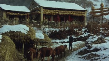 Movie still from “The Story of Qiu Ju” (1992), directed by Yimou Zhang – A man herds cows in a snowy field; Wide shot, High angle