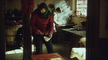 Movie still from “The Story of Qiu Ju” (1992), directed by Yimou Zhang – A woman in a kitchen preparing food; Medium shot, High angle