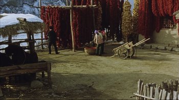 Movie still from “The Story of Qiu Ju” (1992), directed by Yimou Zhang – A group of people standing next to a bunch of red peppers; Extreme Wide shot, High angle