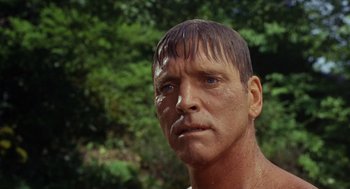Movie still from “The Swimmer” (1968), directed by Sydney Pollack – A man's face in the forest; Close Up shot, Low angle