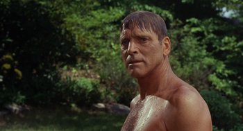 Movie still from “The Swimmer” (1968), directed by Sydney Pollack – A man with a beard is standing in the grass; Close Up shot, Over the shoulder angle