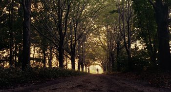 A person is standing on a dirt road near a forest