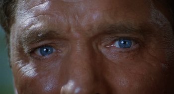 Movie still from “The Swimmer” (1968), directed by Sydney Pollack – A man's eyes with blue eyes; Extreme Close Up shot, Overhead angle