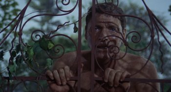 Movie still from “The Swimmer” (1968), directed by Sydney Pollack – A shirtless man behind a metal fence; Close Up shot, Low angle