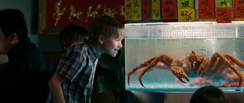 Movie still from “The Switch” (2010), directed by Josh Gordon – A young boy looking at an octopus in a tank; Medium shot, Over the shoulder angle