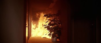 Movie still from “The Towering Inferno” (1974), directed by John Guillermin – A plant that is sitting in front of a fire; Wide shot, High angle