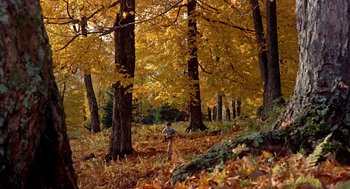 Movie still from “The Trouble with Harry” (1955), directed by Alfred Hitchcock – A person standing in the middle of a forest with yellow leaves; Extreme Wide shot, High angle