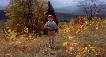 Movie still from “The Trouble with Harry” (1955), directed by Alfred Hitchcock – A young boy standing in a field holding something; Wide shot, High angle