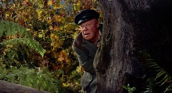 Movie still from “The Trouble with Harry” (1955), directed by Alfred Hitchcock – An old man leaning up against a tree; Medium shot, High angle