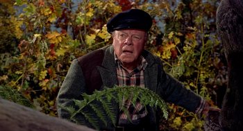 Movie still from “The Trouble with Harry” (1955), directed by Alfred Hitchcock – An older man in a hat and jacket looking surprised; Medium shot, High angle