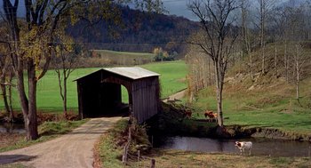Movie still from “The Trouble with Harry” (1955), directed by Alfred Hitchcock – Cows grazing in a field near a covered bridge; Extreme Wide shot, High angle
