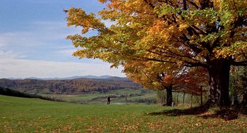 Movie still from “The Trouble with Harry” (1955), directed by Alfred Hitchcock – A person standing in a field near a large tree; Extreme Wide shot, High angle