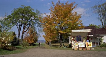 Movie still from “The Trouble with Harry” (1955), directed by Alfred Hitchcock – A person walking down a dirt road next to trees; Extreme Wide shot, Low angle
