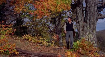 Movie still from “The Trouble with Harry” (1955), directed by Alfred Hitchcock – A man in a vest standing next to a tree; Wide shot, Low angle