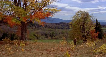 Movie still from “The Trouble with Harry” (1955), directed by Alfred Hitchcock – A person standing in a field near a large tree; Extreme Wide shot, High angle