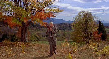 Movie still from “The Trouble with Harry” (1955), directed by Alfred Hitchcock – An older man in a gray suit is reading a book; Wide shot, High angle