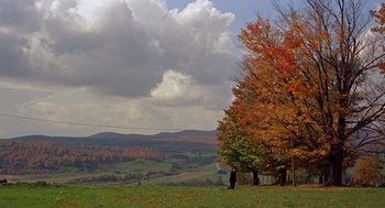 Movie still from “The Trouble with Harry” (1955), directed by Alfred Hitchcock – A man standing on a hill next to a tree; Extreme Wide shot, High angle